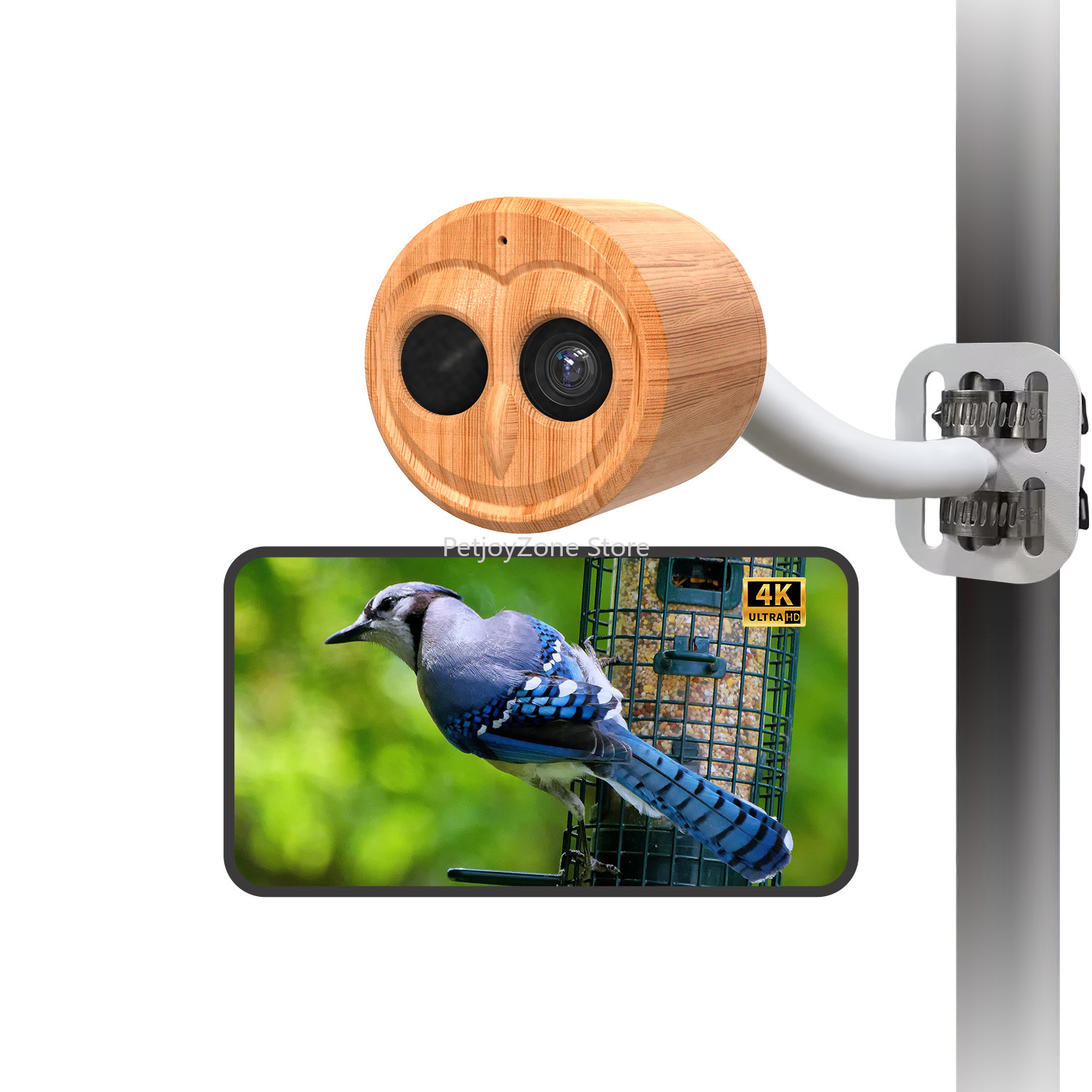 Smart Bird Feeder Camera - WILLFINE Automatische AI Vogelvoeder met Camera