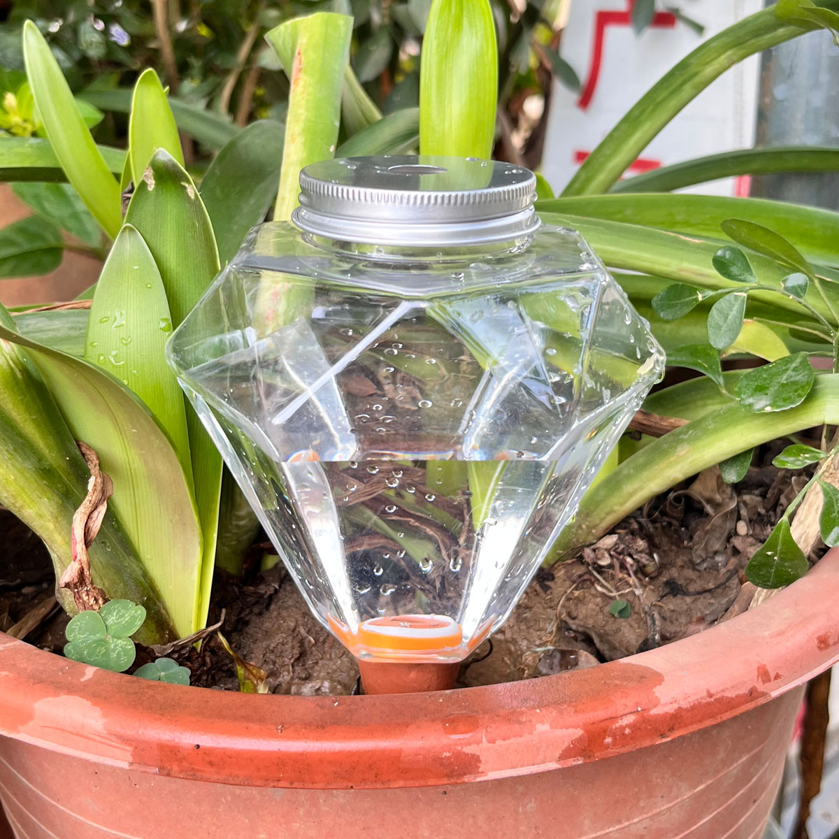 Plant Watering Globe - 1 stks Leuke Plastic Watering Machine