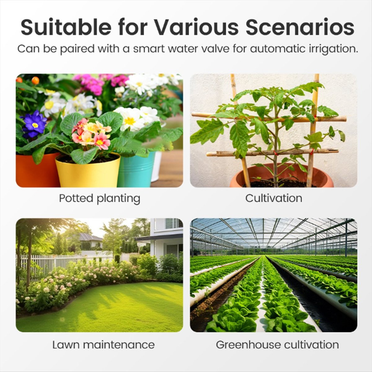 Smart Garden Moisture Sensor - ABJA Tuya Zigbee Smart Soil Tester