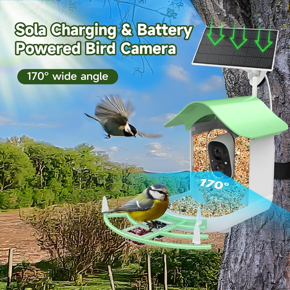 Slimme vogelvoeder op zonne-en - Smart Bird Feeder Camera recensie en prijs