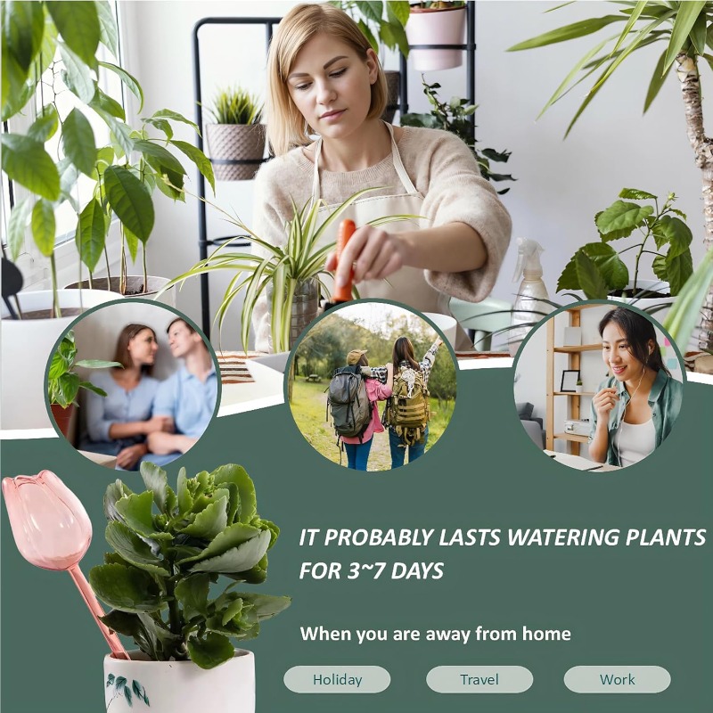 Roze Tulpenplantenbewateringsb - Plant Watering Globe recensie en prijs