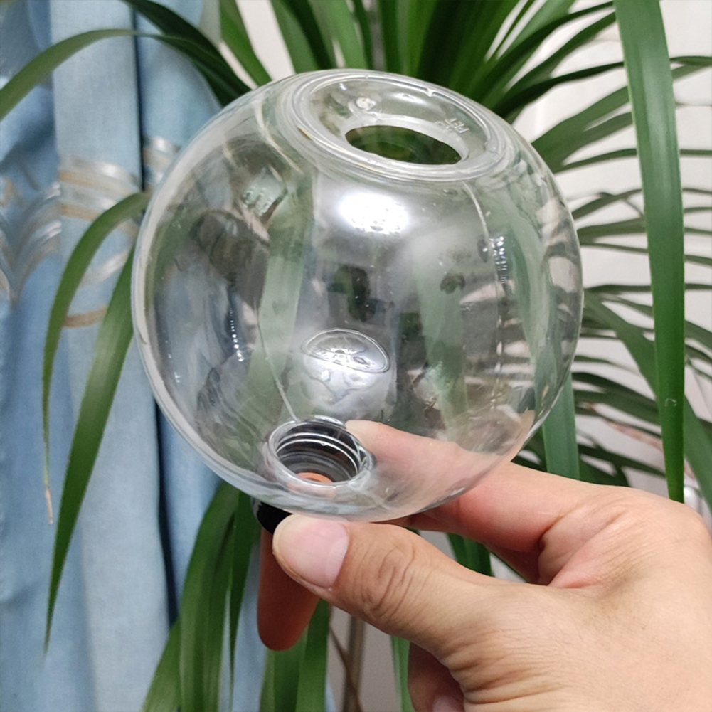 500ML Zelfwatergevende Globes  - Plant Watering Globe recensie en prijs
