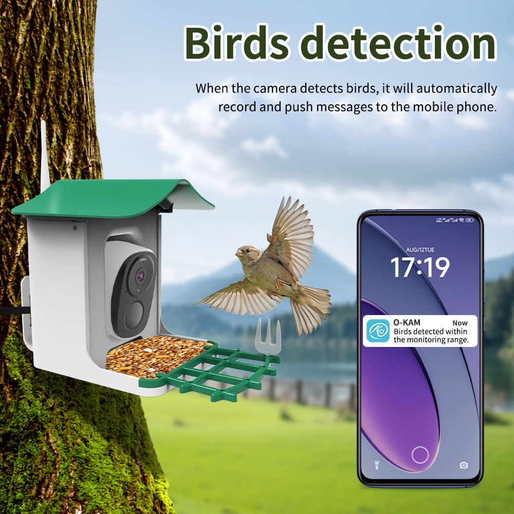 OEM 3MP O-KAM WIFI Kleuren Nac - Smart Bird Feeder Camera recensie en prijs