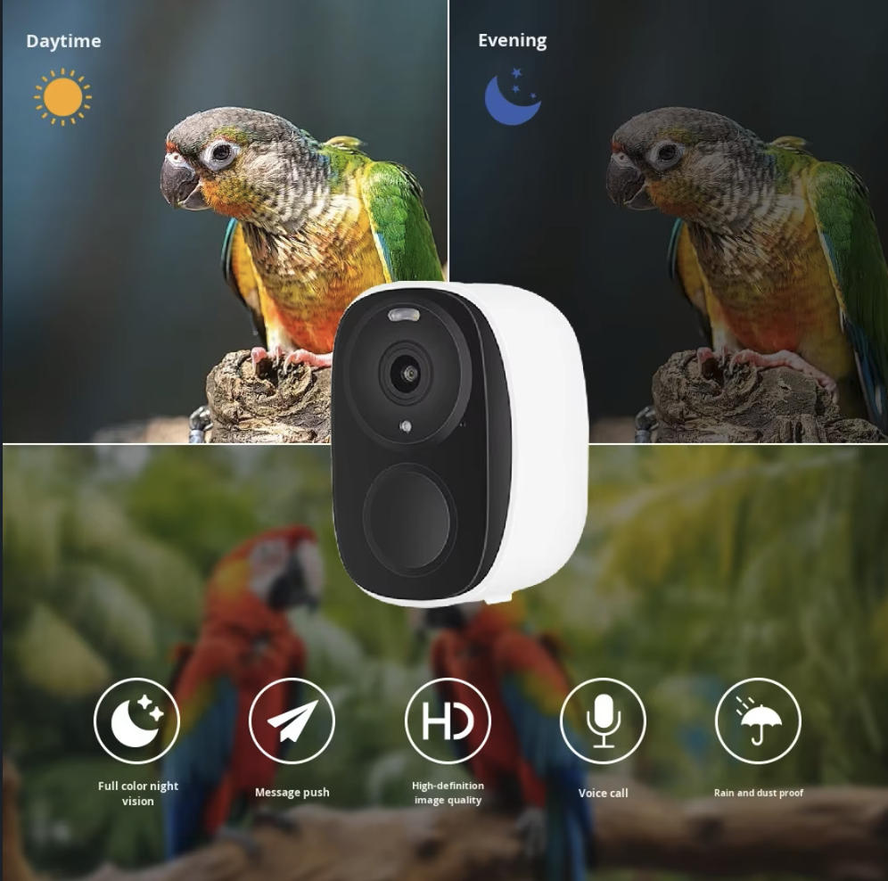 OEM 3MP O-KAM WIFI Kleuren Nac - Smart Bird Feeder Camera recensie en prijs