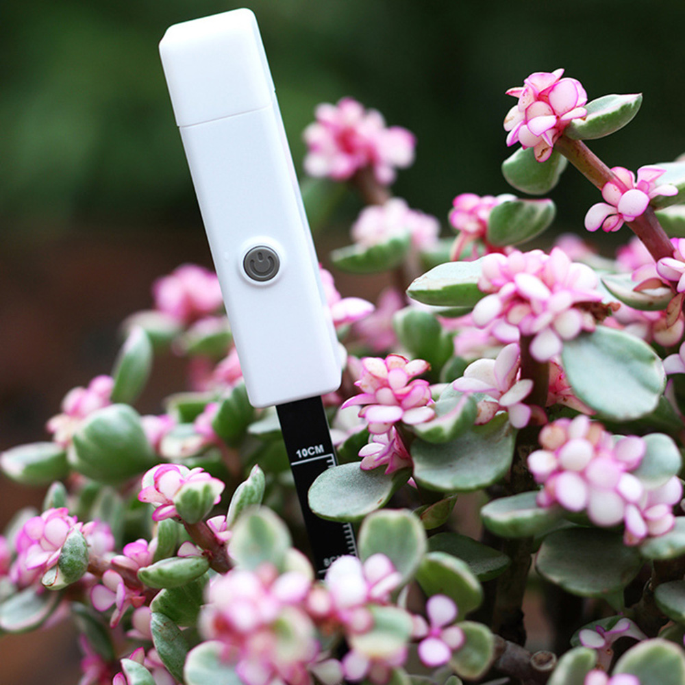 2 Stuks Voor Tuin Gazon Potpla - Smart Garden Moisture Sensor recensie en prijs