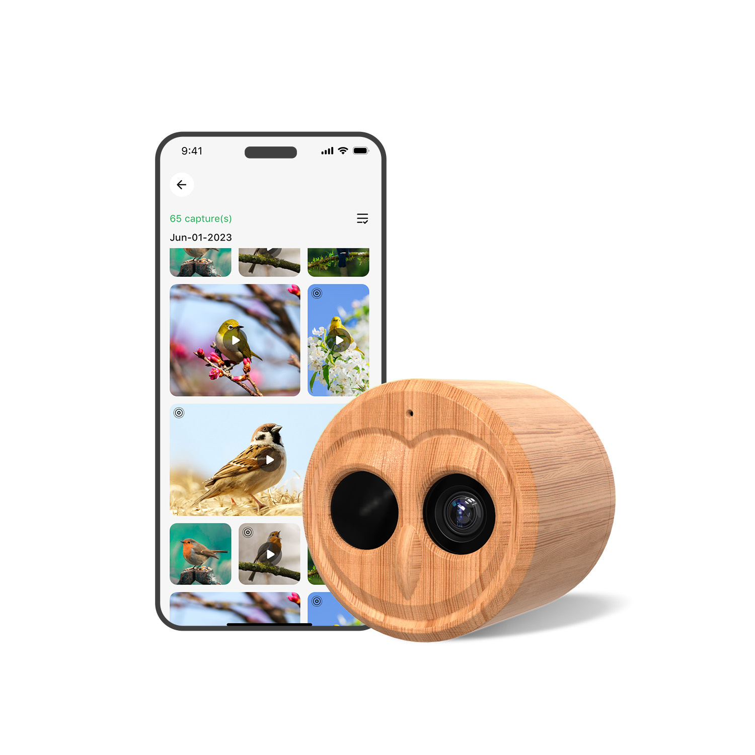 4K Smart Vogelvoeder met Camer - Smart Bird Feeder Camera recensie en prijs