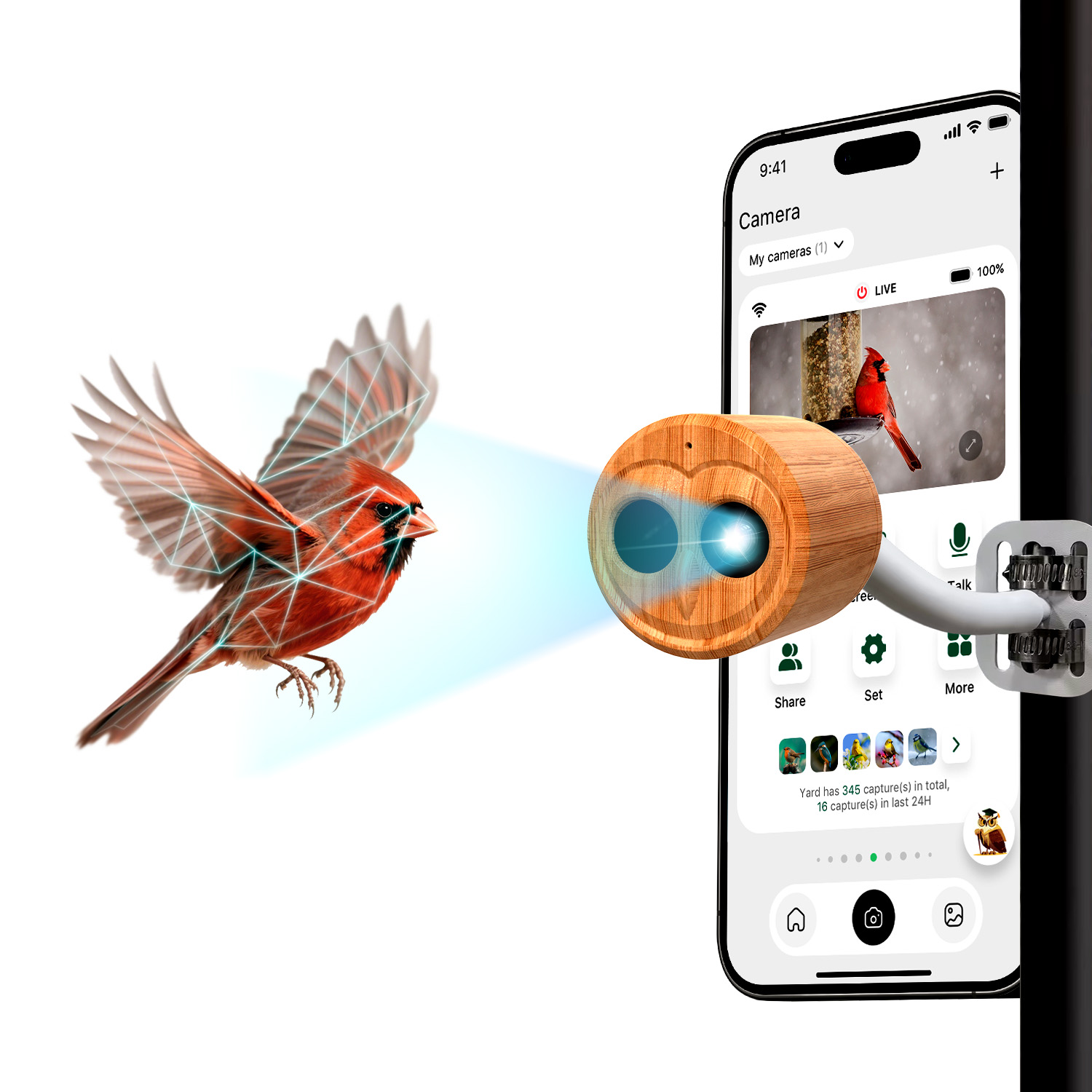 4K Smart Vogelvoeder met Camer - Smart Bird Feeder Camera recensie en prijs