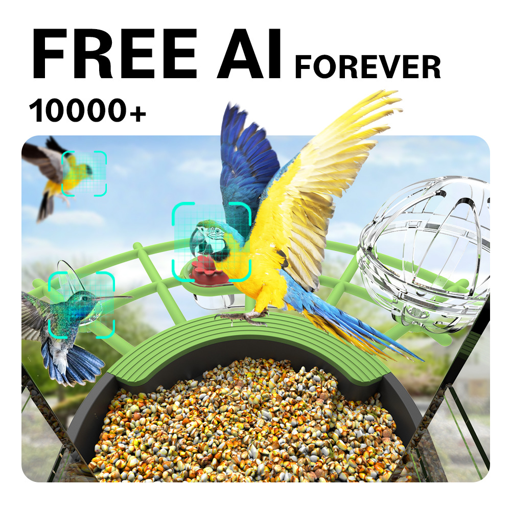 Vogelvoeder met AI-identificat - Smart Bird Feeder Camera recensie en prijs