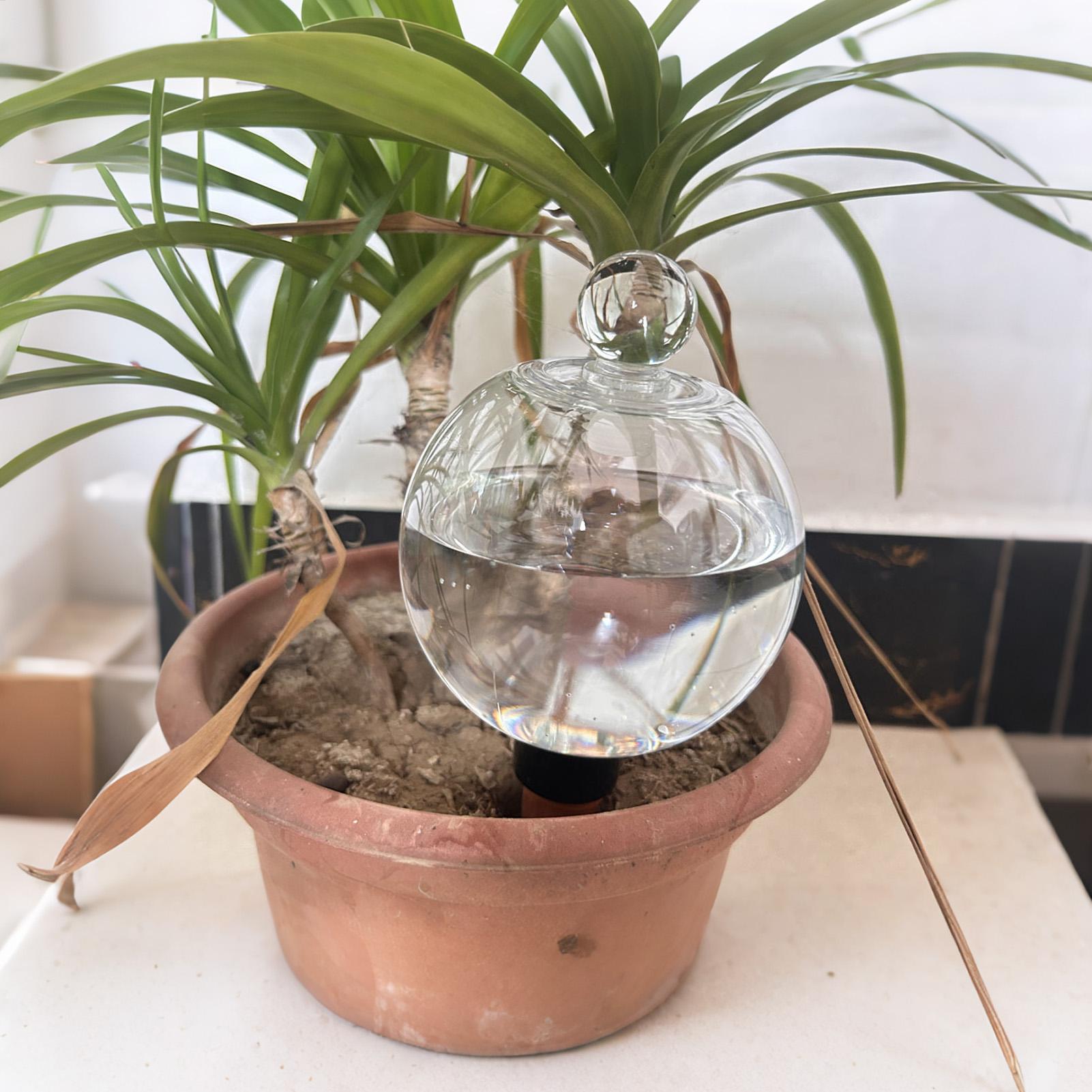 Plantenbewateringsbollen 4 stu - Plant Watering Globe recensie en prijs