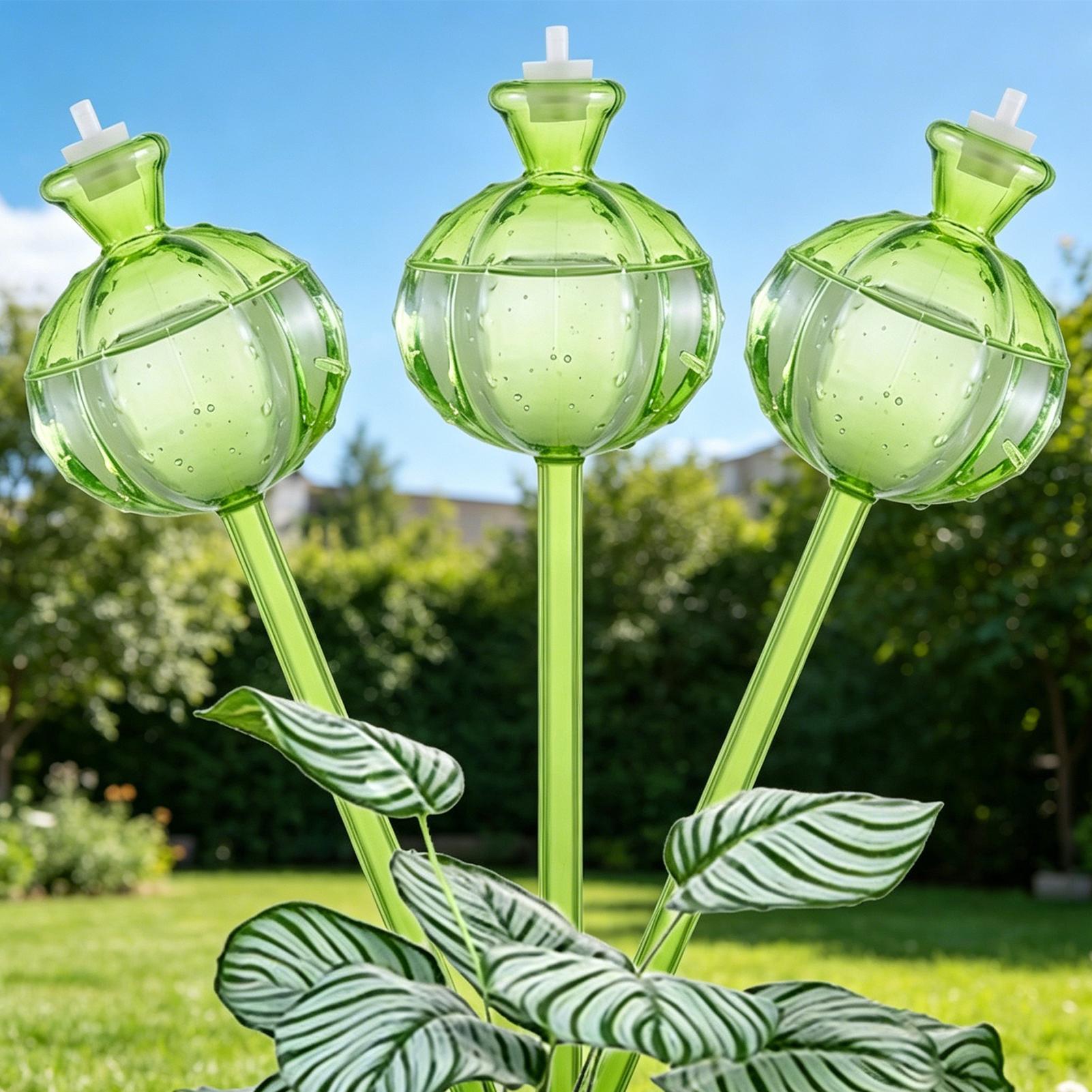 Zelfwatergevende globes, 3 stu - Plant Watering Globe recensie en prijs