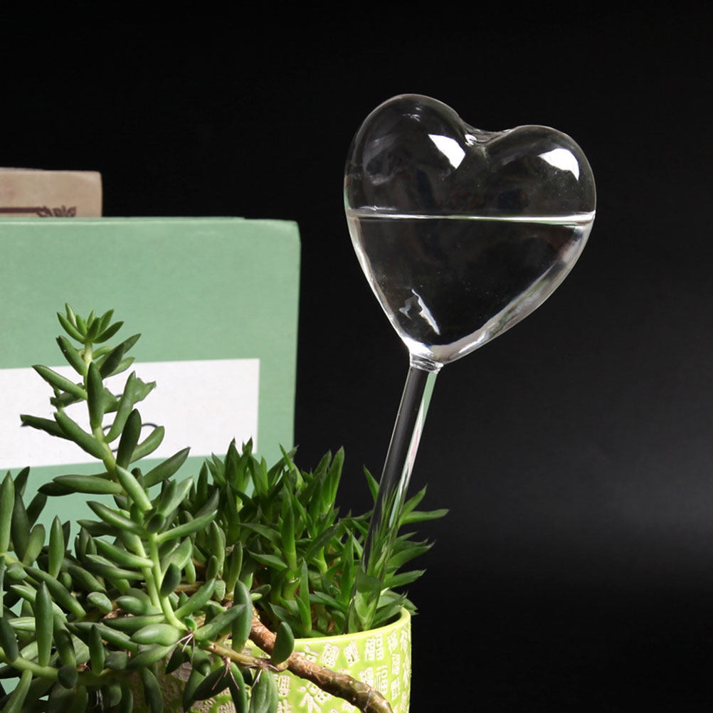 3 stuks hartvormige glazen zel - Plant Watering Globe recensie en prijs