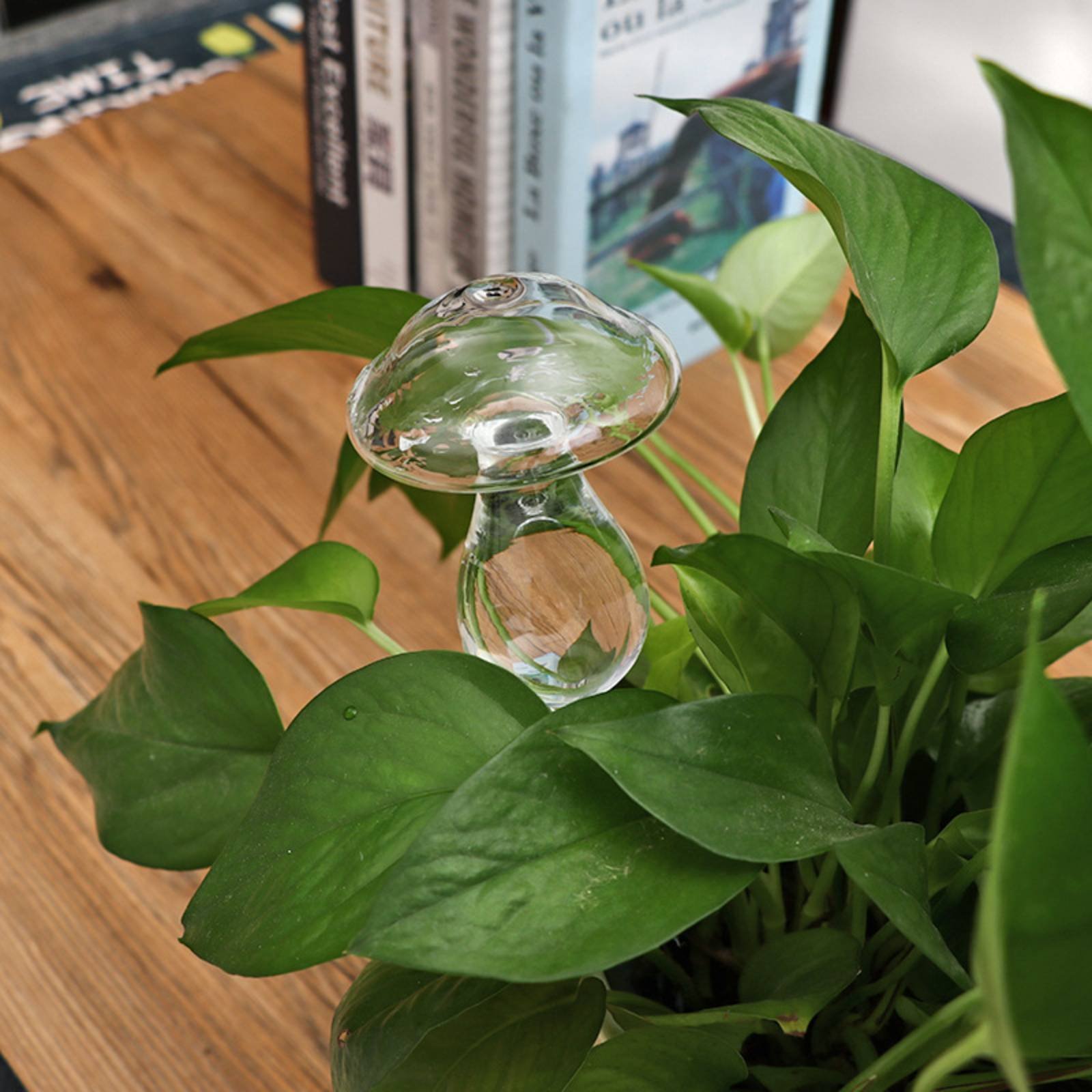Automatische plantenbewatering - Plant Watering Globe recensie en prijs