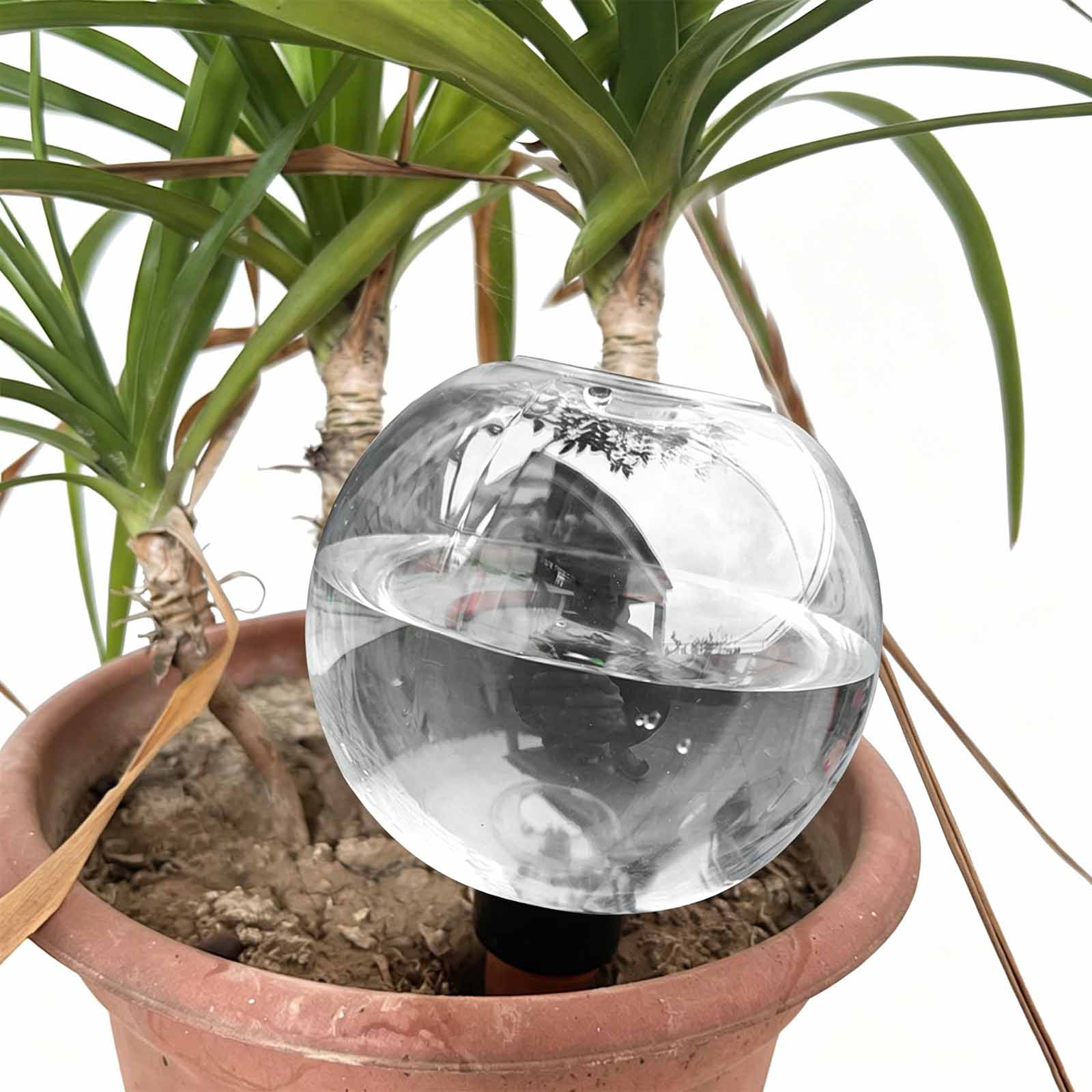 1/4 stuks automatische planten - Plant Watering Globe recensie en prijs
