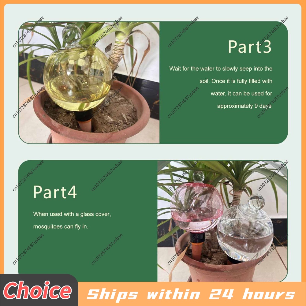 Automatische zelfwatergevende  - Plant Watering Globe recensie en prijs