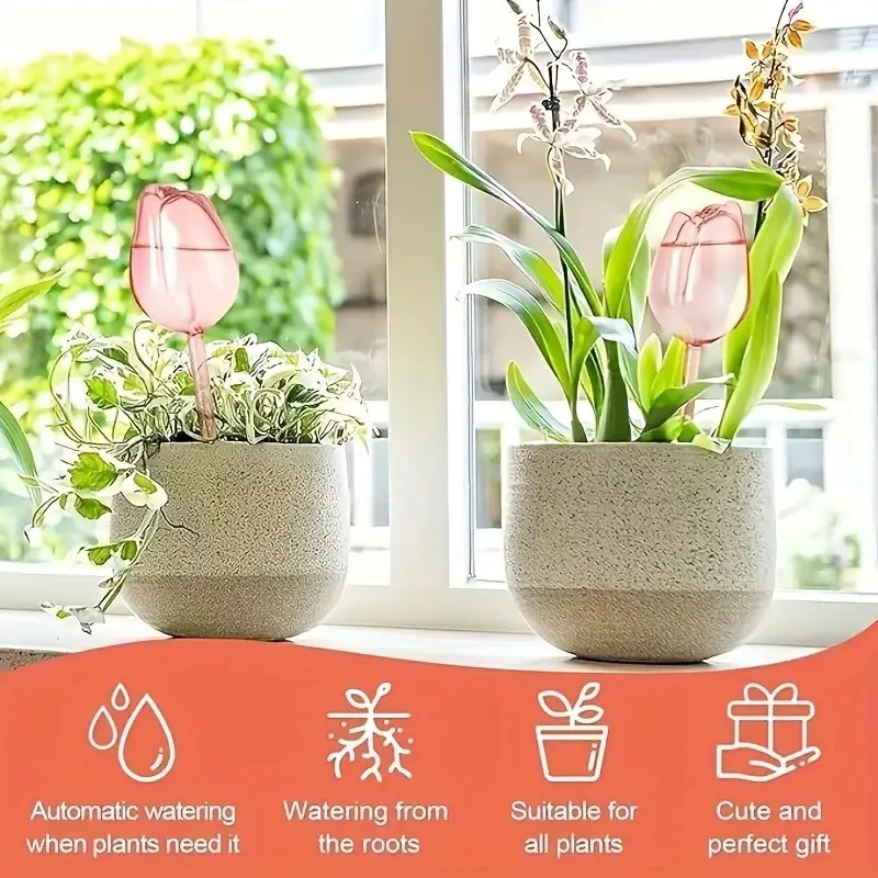 Roze tulpenplantenbesproeiings - Plant Watering Globe recensie en prijs