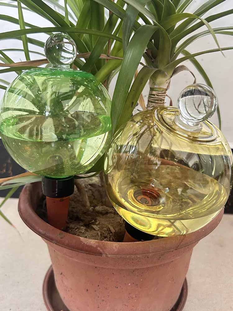 Zelfwatergevende globes 500ML  - Plant Watering Globe recensie en prijs