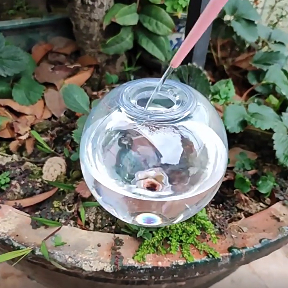 500ML Zelfwatergevende Globes  - Plant Watering Globe recensie en prijs