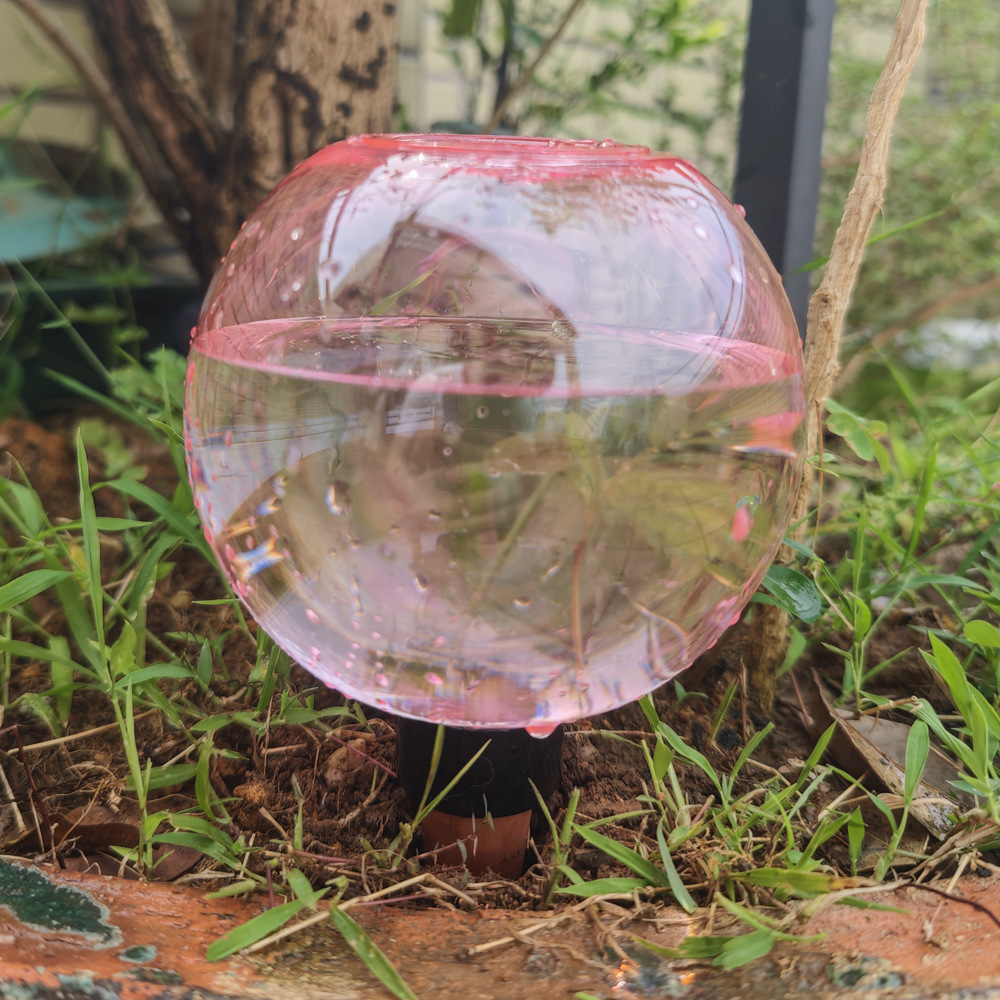 1/4 stuks automatische planten - Plant Watering Globe recensie en prijs