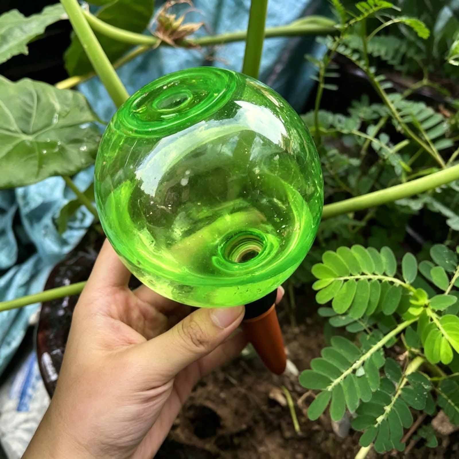 1/4 Stuks Plant Zelf Watergeve - Plant Watering Globe recensie en prijs