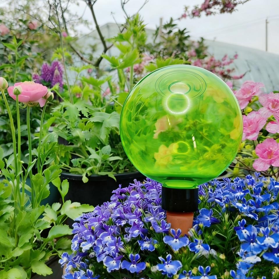 3 stuks grote planten zelfwate - Plant Watering Globe recensie en prijs