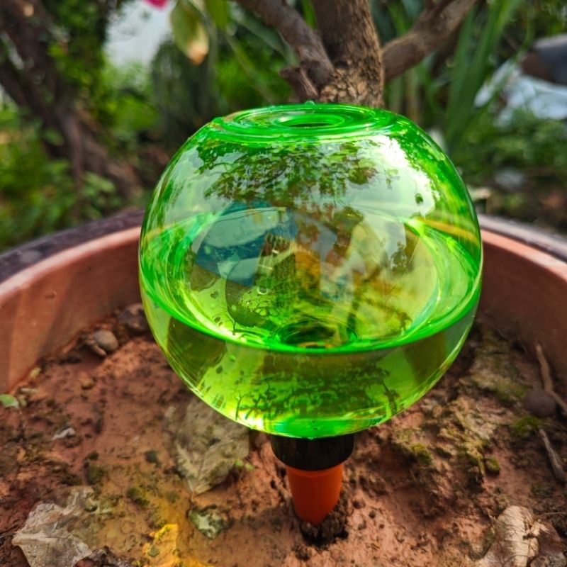 3 stuks grote planten zelfwate - Plant Watering Globe recensie en prijs