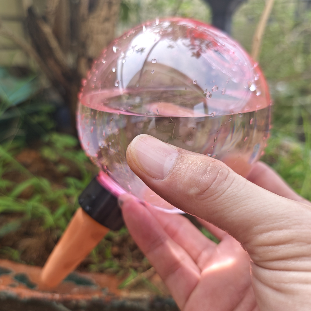 1/4 Stuks Plant Zelfwatergeven - Plant Watering Globe recensie en prijs