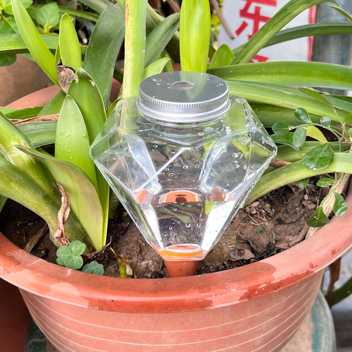1 stks Leuke Plastic Watering  - Plant Watering Globe recensie en prijs