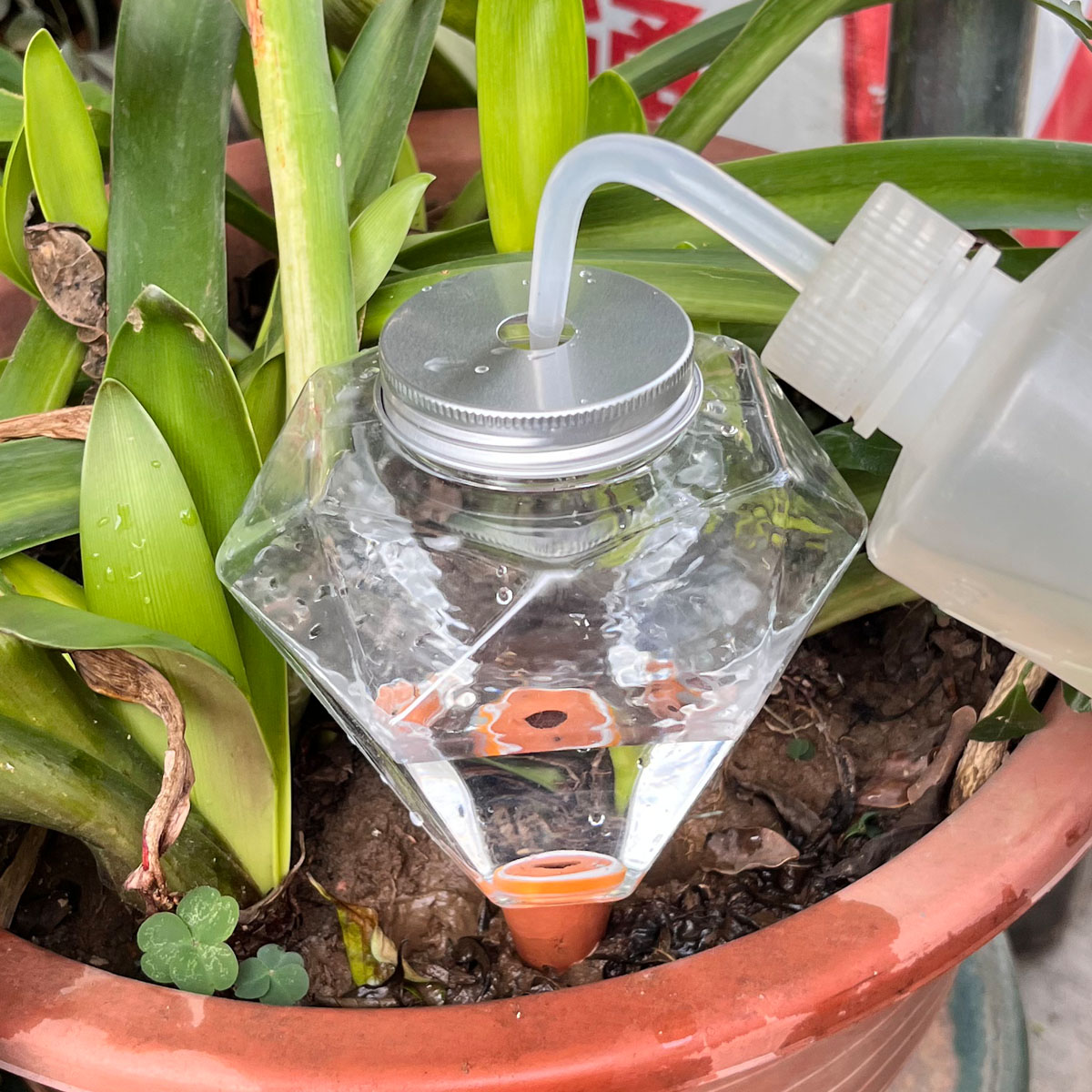 1 stks Leuke Plastic Watering  - Plant Watering Globe recensie en prijs