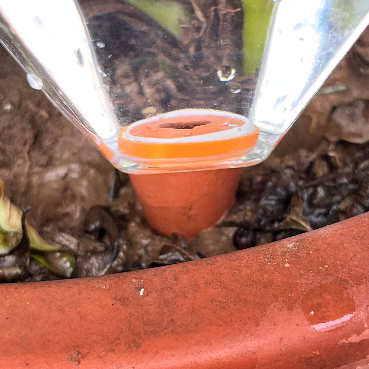 1 stks Leuke Plastic Watering  - Plant Watering Globe recensie en prijs