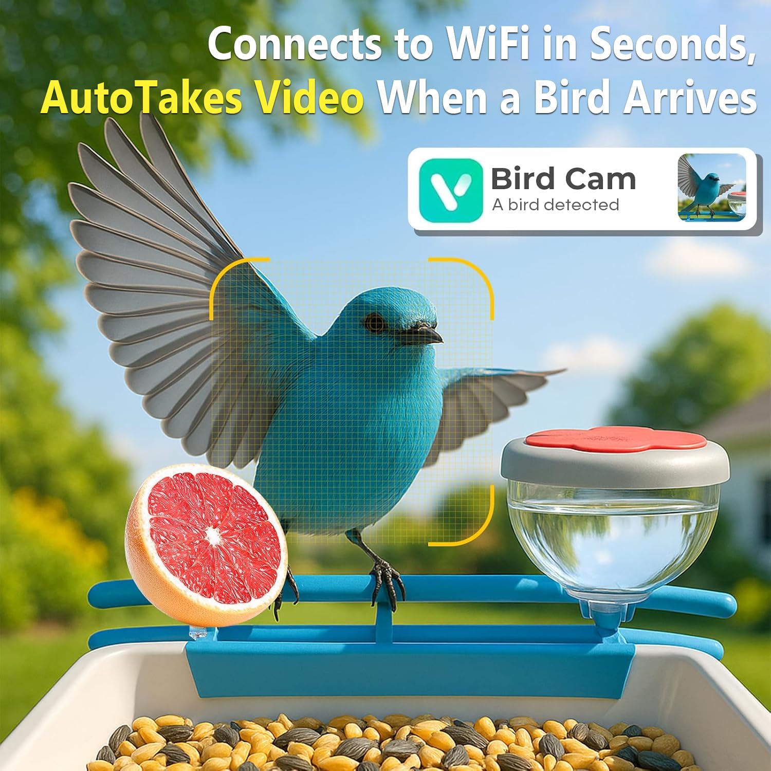 Slimme Vogelvoederbak Camera 2 - Smart Bird Feeder Camera recensie en prijs