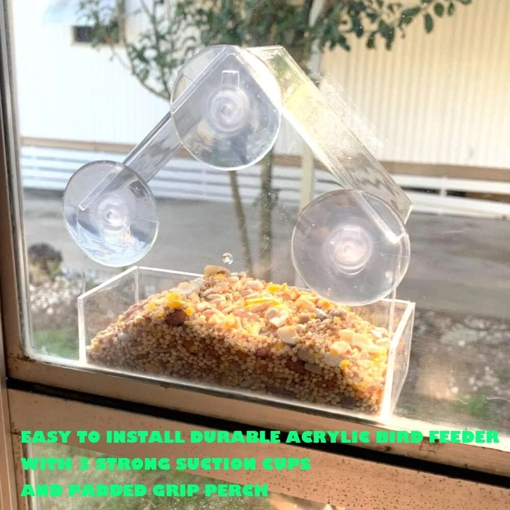 Acryl Vogelvoeder Helder Venst - Smart Bird Feeder Camera recensie en prijs