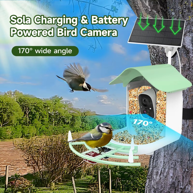 2026 App Video Auto Capture Ca - Smart Bird Feeder Camera recensie en prijs