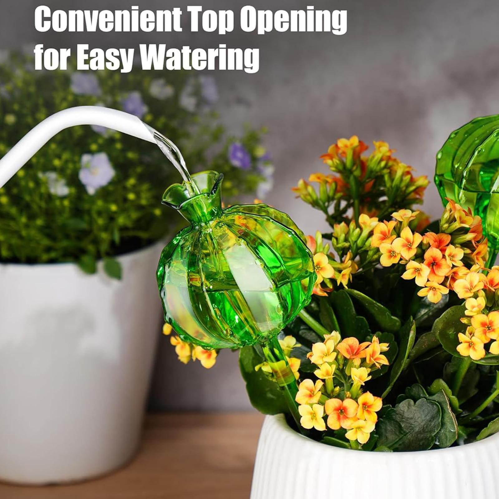 Plantenbewateringsbollen 3 stu - Plant Watering Globe recensie en prijs